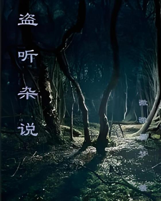 盜聽雜說 盜聽雜說
