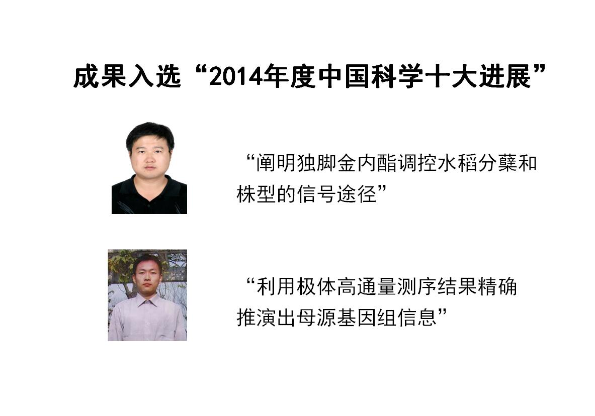 科研成果入選“2014年度中國科學十大進展”