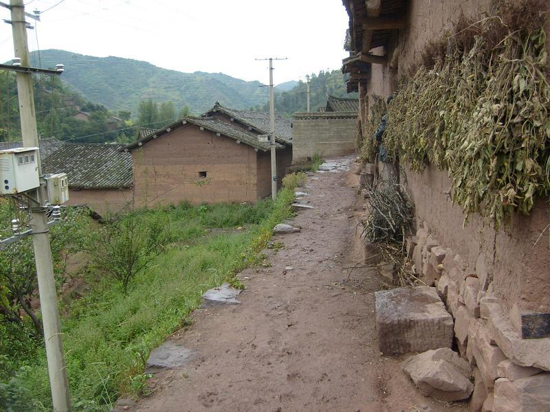 維家箐村 維家箐村