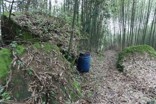 中村古道 中村古道