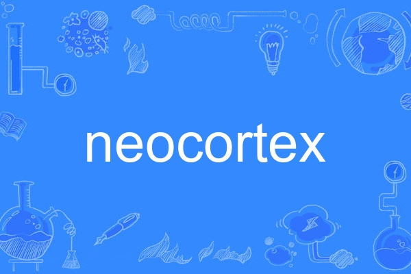 neocortex neocortex