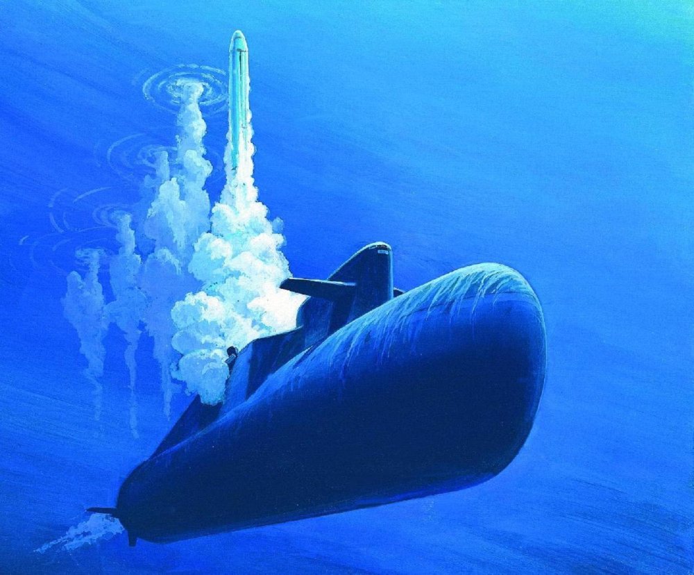 馬爾地夫鯨魚潛艇