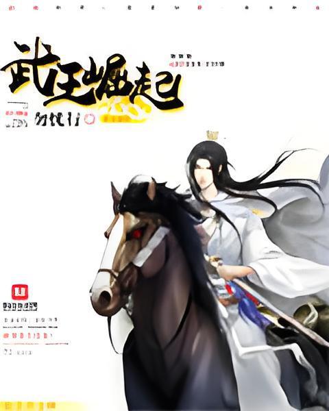 武王崛起(中文網的網路小說) 武王崛起(中文網的網路小說)