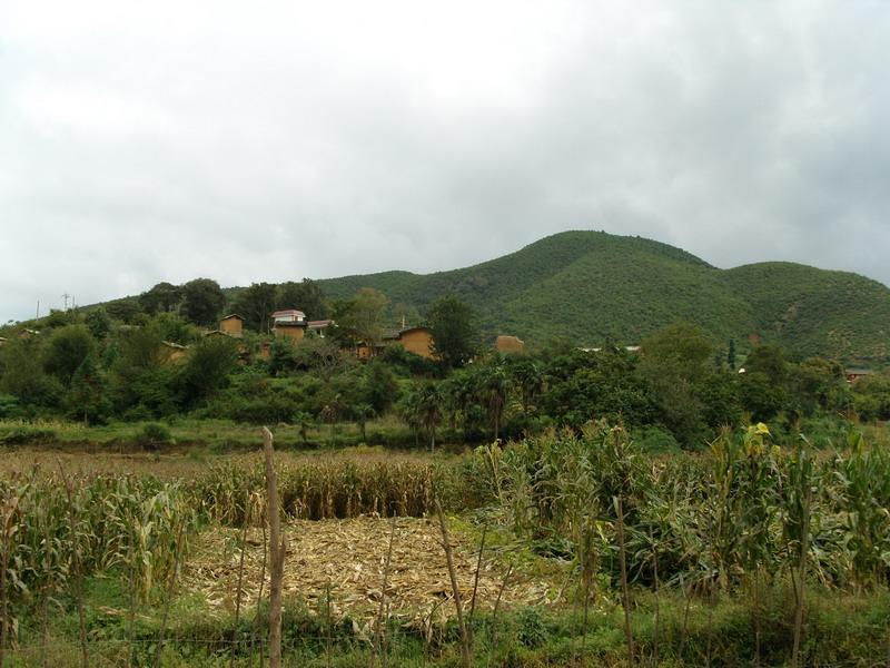石草河村 石草河村