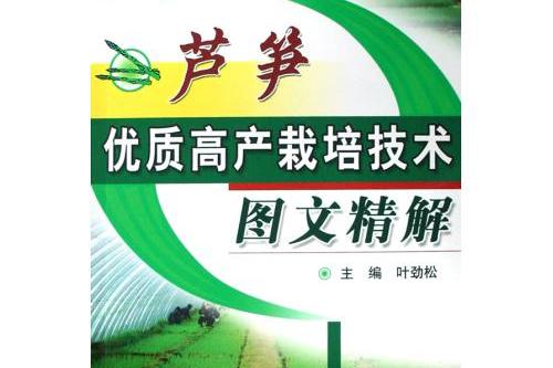 蘆筍優質高產栽培技術圖文精解
