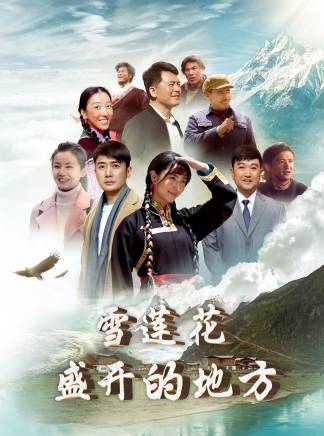 劉鵬鵬 劉鵬鵬