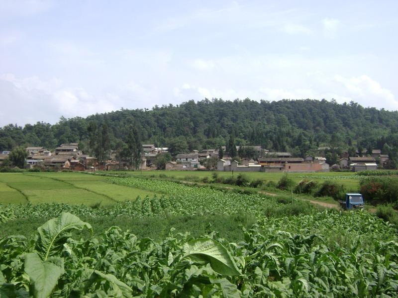 卷洞門村 卷洞門村
