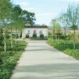 上花園村 上花園村