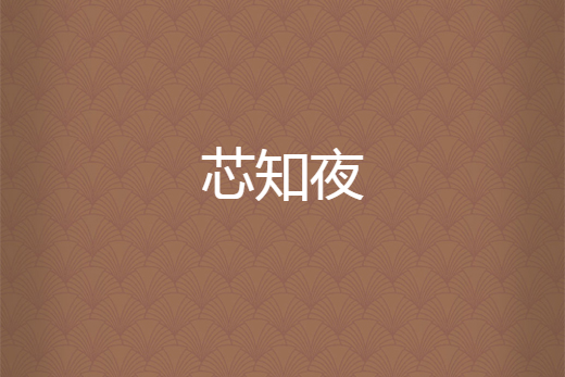 芯知夜 芯知夜