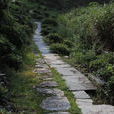 漁亭古道 漁亭古道