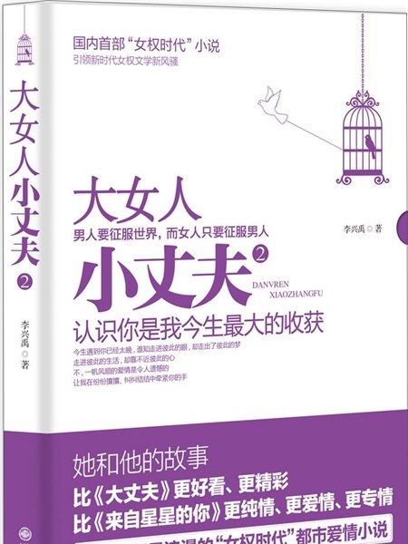 大女人小丈夫2