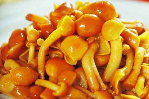 油爆鮑花 油爆鮑花