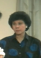 新紮師兄續集(新紮師兄（1985年梁朝偉主演TVB電視劇）)