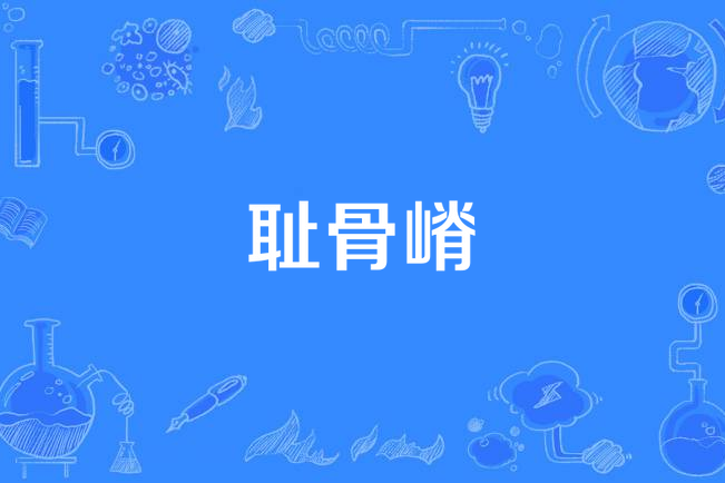 恥骨嵴 恥骨嵴