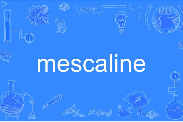 mescaline mescaline