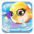 冰冰鳥 冰冰鳥