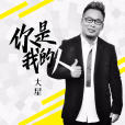 你是我的人(大星演唱的歌曲) 你是我的人(大星演唱的歌曲)