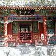 桐剪秋風 桐剪秋風