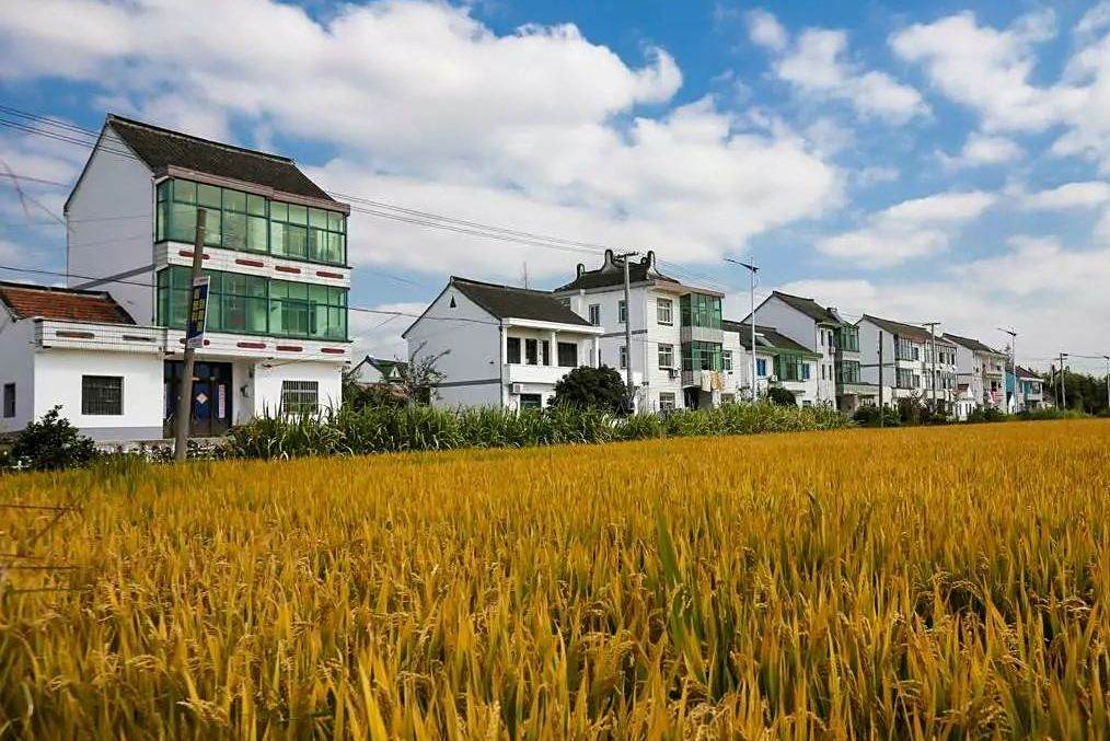 小呂巷村