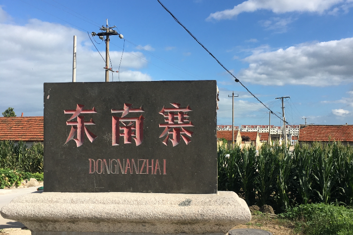 東南寨村 東南寨村