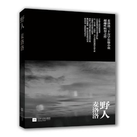 野人(江蘇文藝出版社出版的圖書) 野人(江蘇文藝出版社出版的圖書)