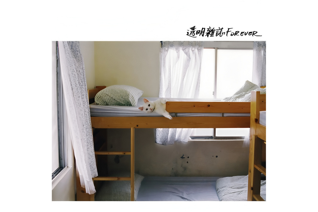 透明雜誌Forever