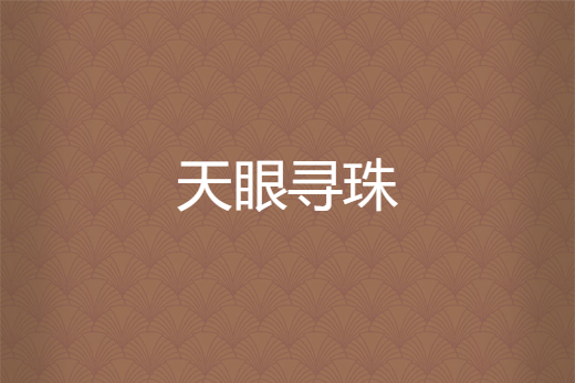 天眼尋珠