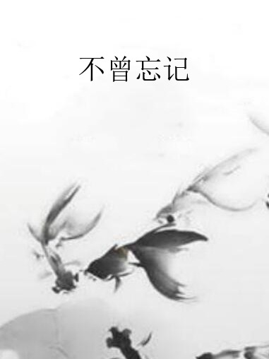 不曾忘記 不曾忘記