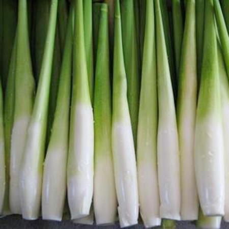 台福1號 台福1號