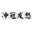 沖冠髮怒 沖冠髮怒