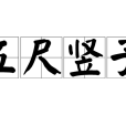 五尺豎子