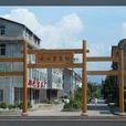 天心村 天心村
