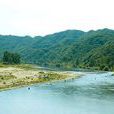 水桶村 水桶村