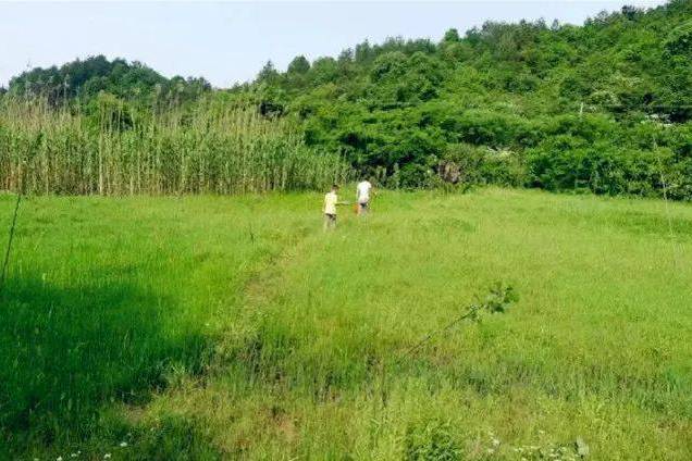 郭橋村(山東省菏澤市巨野縣營里鎮下轄村) 郭橋村(山東省菏澤市巨野縣營里鎮下轄村)