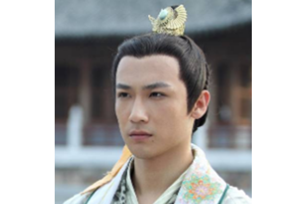 薛應龍(電視劇《大唐女將樊梨花》中的角色) 薛應龍(電視劇《大唐女將樊梨花》中的角色)