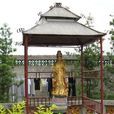 紫林庵(廣東紫林庵) 紫林庵(廣東紫林庵)