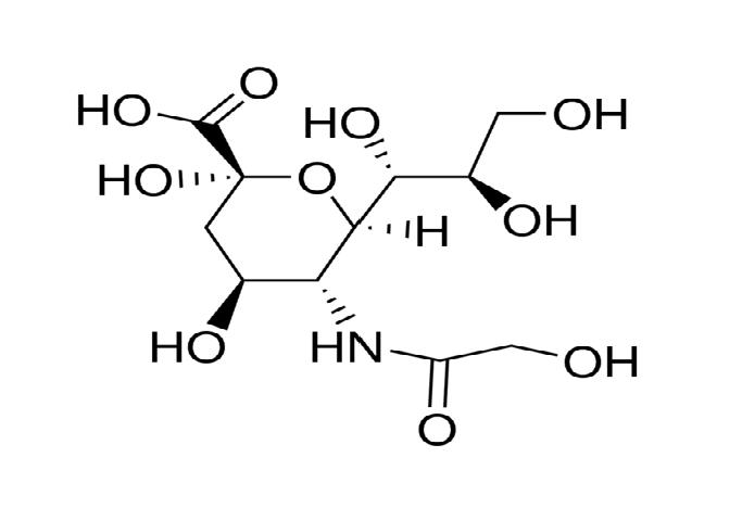 N-乙醯神經氨酸