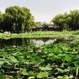 蓮花池(湖北省仙桃市古城蓮花池) 蓮花池(湖北省仙桃市古城蓮花池)