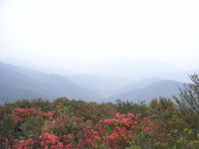 洋造村 洋造村