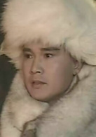 雪山飛狐(1991年孟飛主演電視劇)