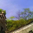 剡源村 剡源村