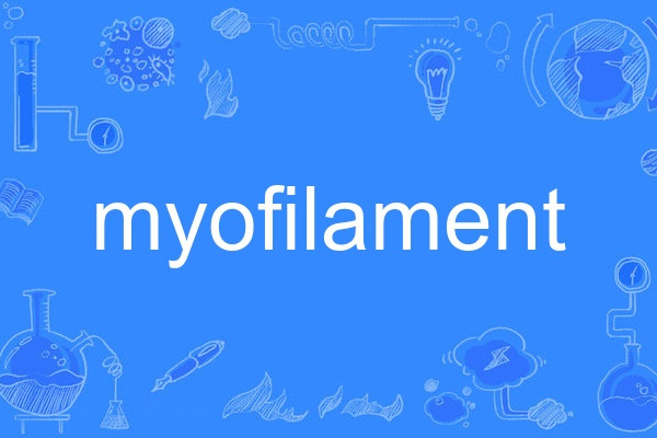 myofilament myofilament