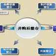 併購能力