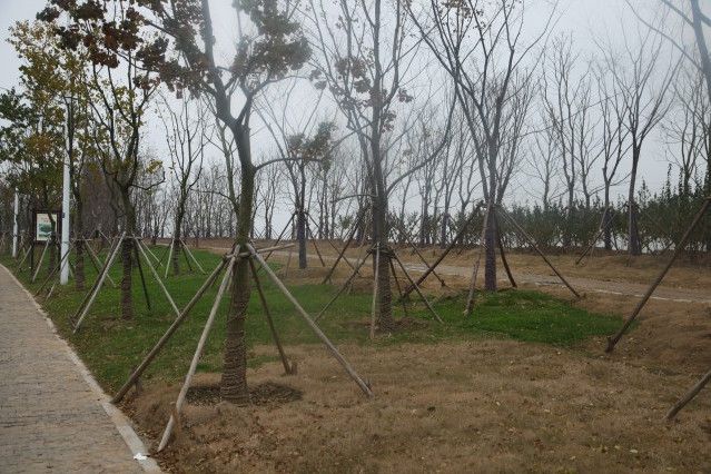 老營遺址 老營遺址
