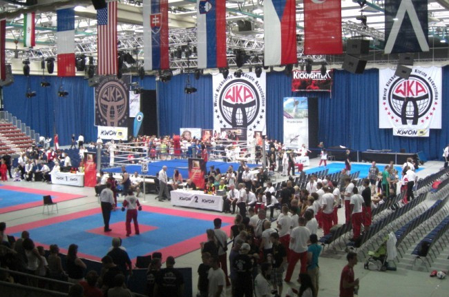 WKA世界自由搏擊錦標賽