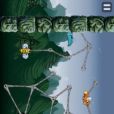 spiders fighting
