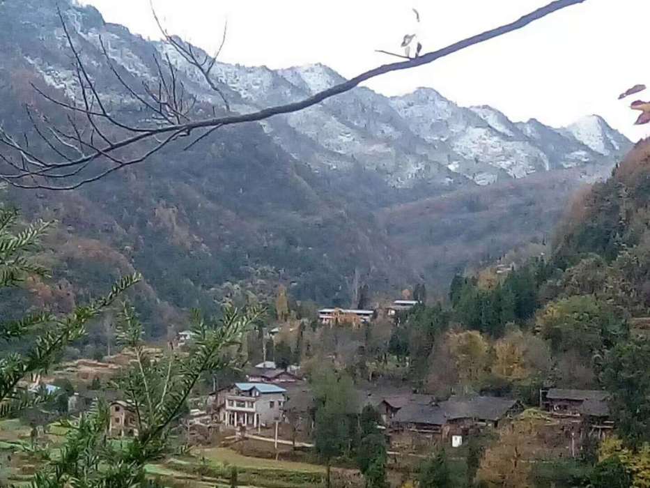 鴻鴣嶺村 鴻鴣嶺村