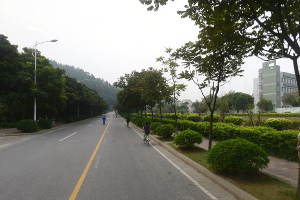 芳草甸路 芳草甸路