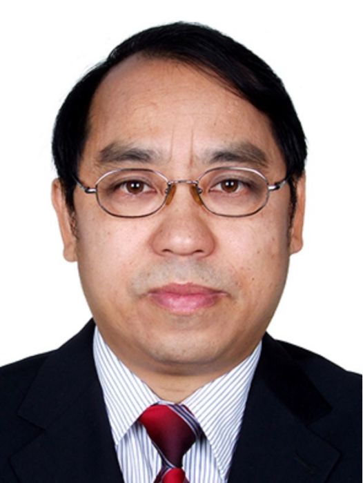 單曉光(同濟大學中歐創新政策與法律研究中心主任,民革第十四屆中央委員會委員) 單曉光(同濟大學中歐創新政策與法律研究中心主任,民革第十四屆中央委員會委員)