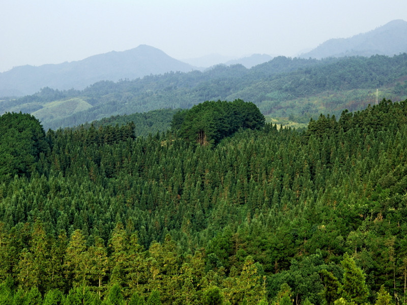 新泰太平山省級自然保護區
